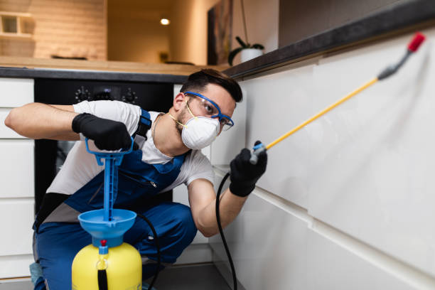 Best Affordable Pest Control Services  in Aiken, SC