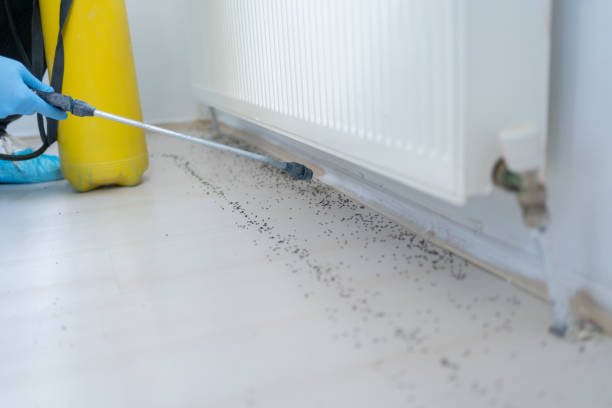 Best Ant Control Services  in Aiken, SC