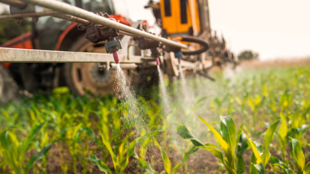 Best Mosquito Control Services  in Aiken, SC